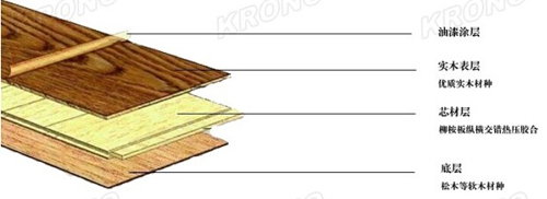www.xzjunlong.cn