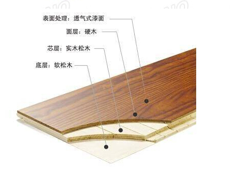 www.xzjunlong.cn