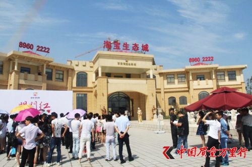 阿里起訴多地山寨“淘寶生態城” 各索賠1000萬元