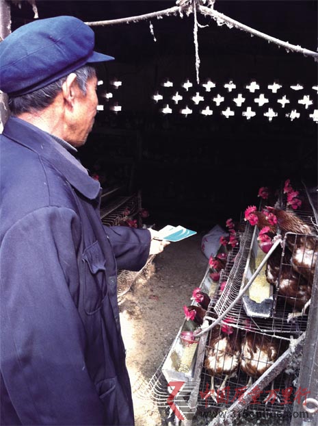 亂收電費(fèi)坑農(nóng)“雞窩里掏出個(gè)供電大廈”
