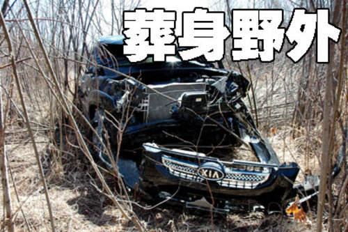 起亞(進(jìn)口) 新索蘭托