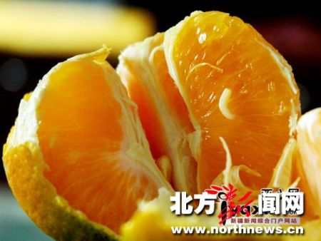 鄭州西安等地出現帶蛆柑橘農業部要求全國監控