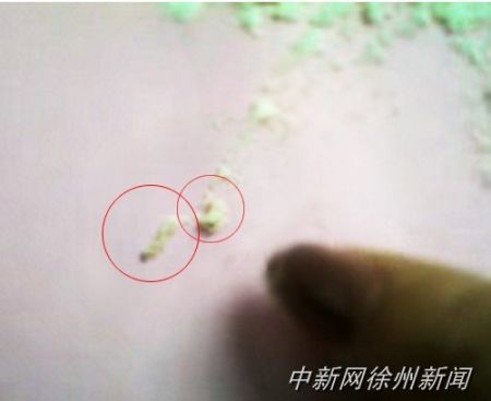 畫圈處為從奶粉中挑出的蟲子。 畫圈處為從奶粉中挑出的蟲子。