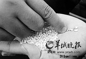 “河粉專用米”來自于陳倉、變質(zhì)、發(fā)霉米糧。