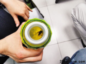 昨日,市民江女士在從彩田路某商場購回的飲料中發現一只蟑螂。 深圳商報記者 彭晨攝