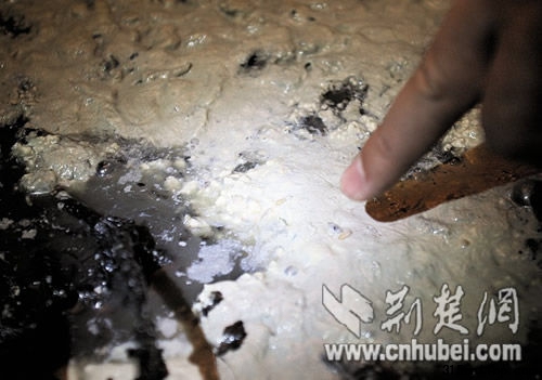 圖為:臭豆腐缸里還有蛆在蠕動