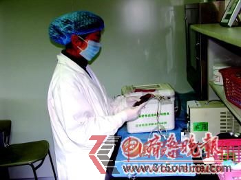 ◥在山東,目前只有一家合法的臍血庫。(資料片)