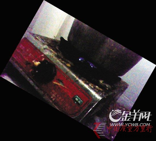爐灶藏滿污垢(本版圖片均為記者拍攝)