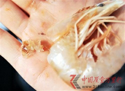 圖為記者從天津市場上購買的“注膠蝦”頭部擠出膠狀透明物質(zhì)。 新華社發(fā)