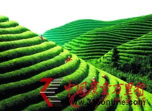r؈44fһ W|䡰X믂ˡ