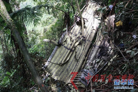 墜毀蘇霍伊客機的一塊殘骸(資料圖) 墜毀蘇霍伊客機的一塊殘骸(資料圖)
