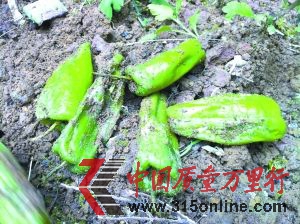 資料圖片 資料圖片