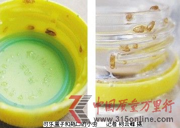 可樂蓋子和瓶口的小蟲 記者柯云峰攝 可樂蓋子和瓶口的小蟲 記者柯云峰攝