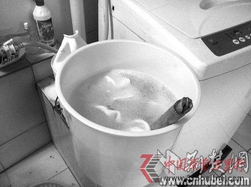 正在洗滌的白毛巾 正在洗滌的白毛巾