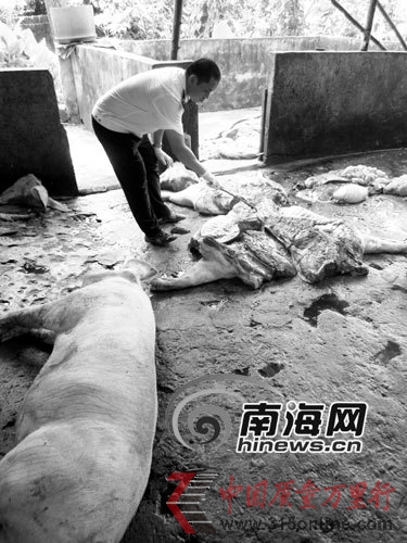 執(zhí)法人員檢查私宰肉 執(zhí)法人員檢查私宰肉