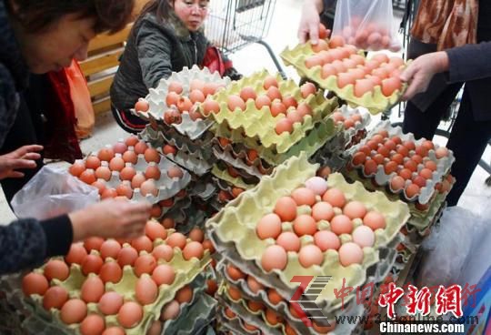 資料圖:購買雞蛋的市民。 韋亮 攝