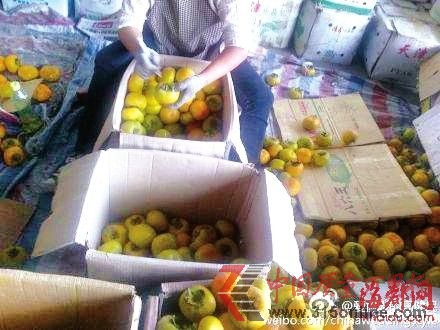 資料圖片