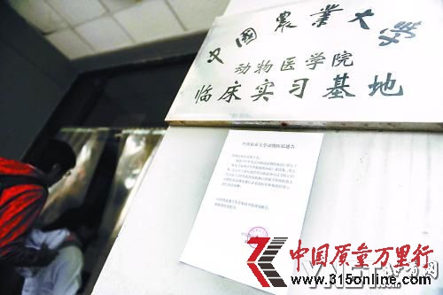 動(dòng)物醫(yī)院門(mén)口貼出停業(yè)通告 ■攝影/本報(bào)記者 袁藝
