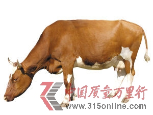 資料圖片